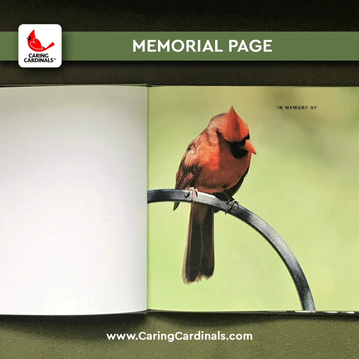 6 MEMORIAL PAGE.jpg