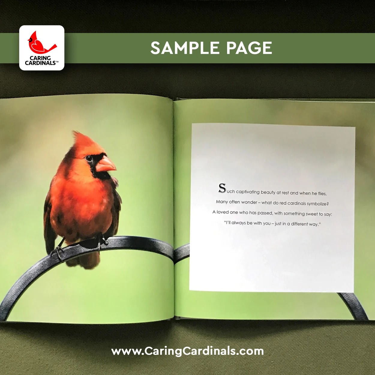 9 SAMPLE PAGES.jpg