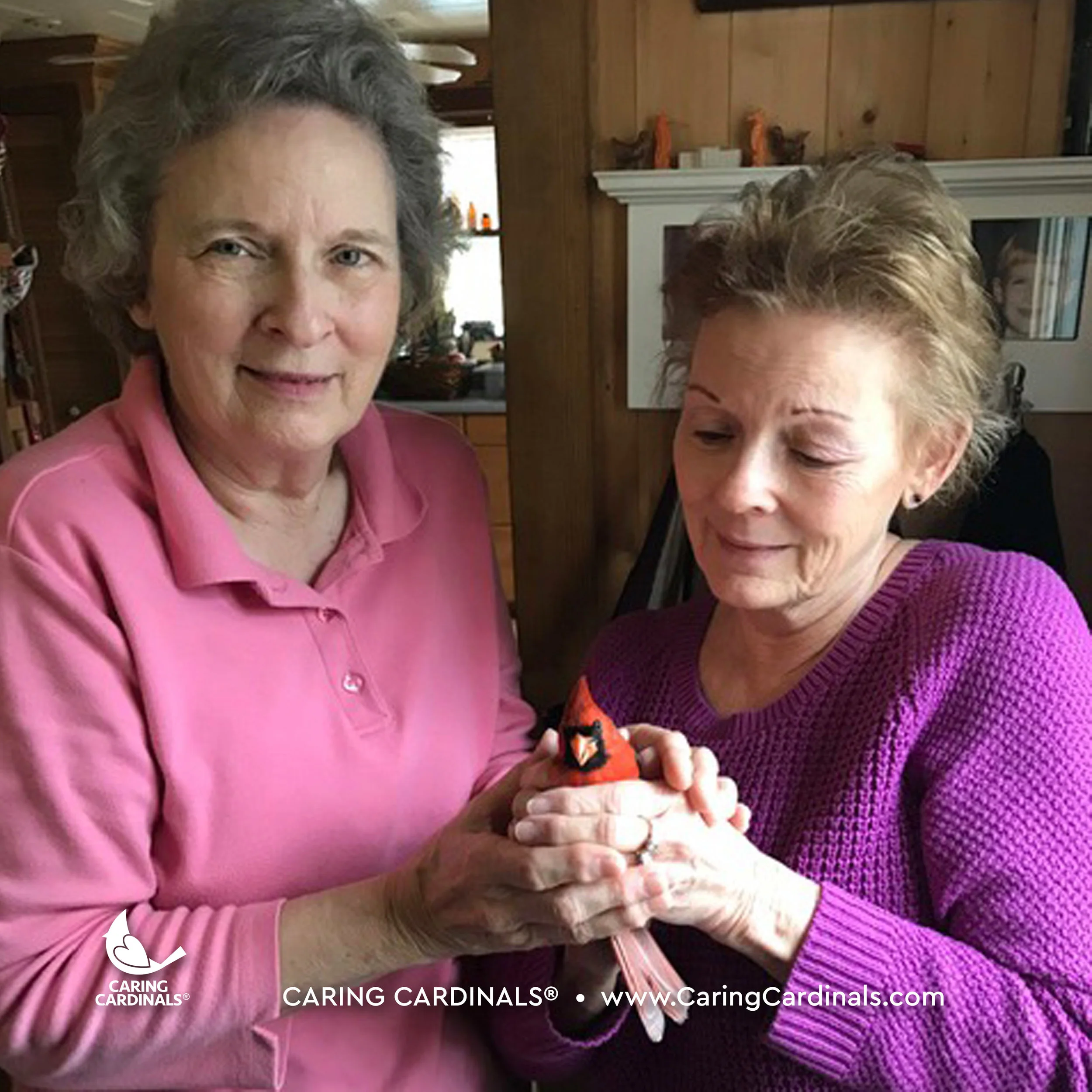 A CARDINAL EXPERIENCE