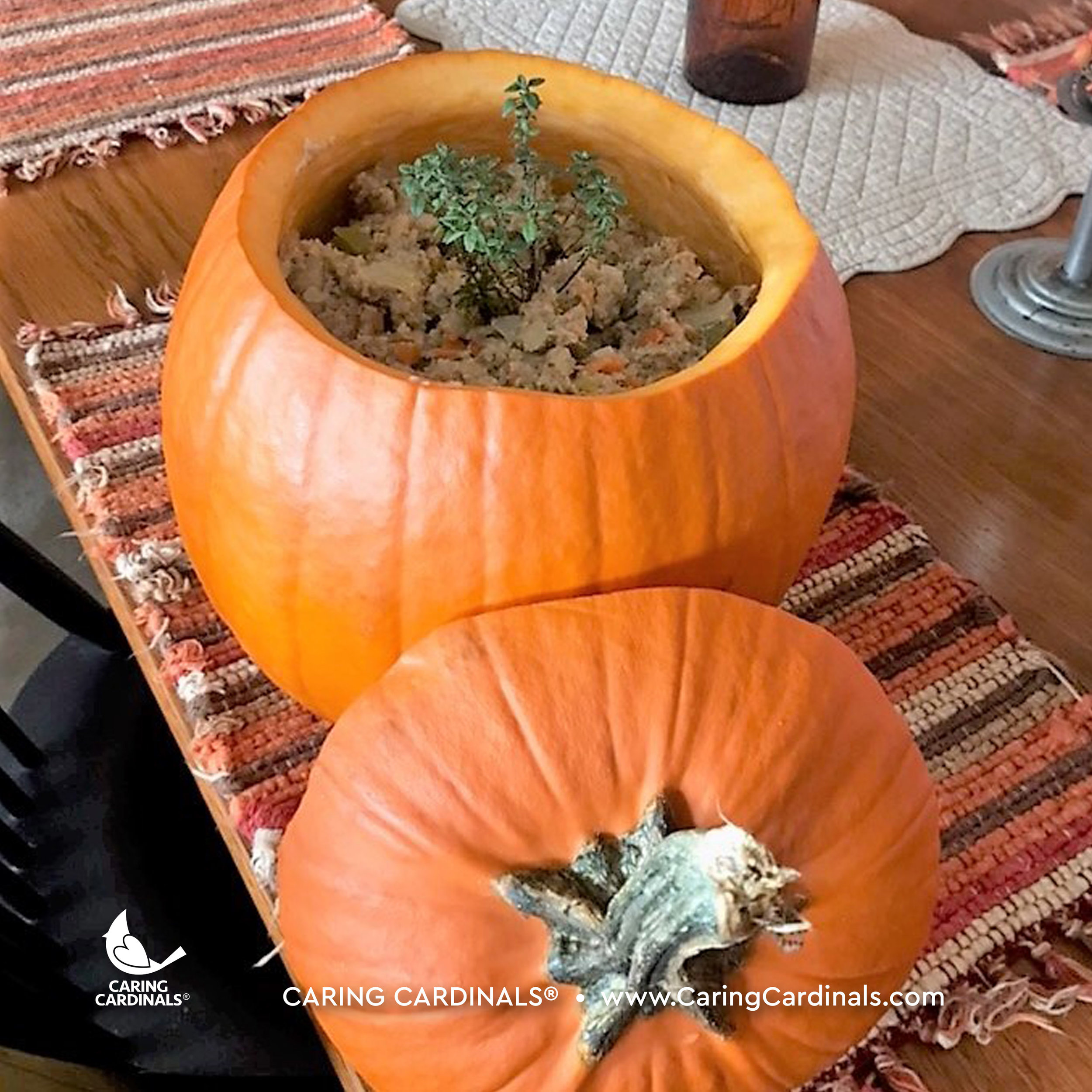 A CARDINAL EXPERIENCE