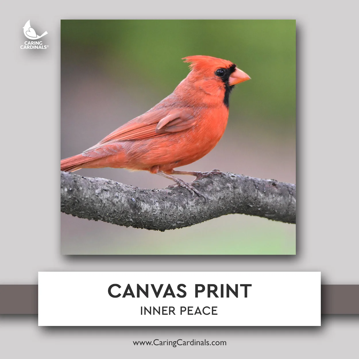 CANVAS PRINT - Inner Peace.jpg