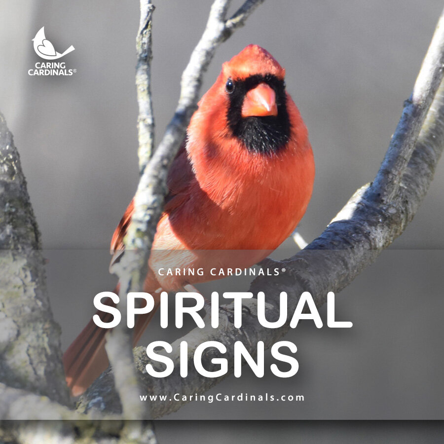 INDEX Spiritual-Signs.jpg