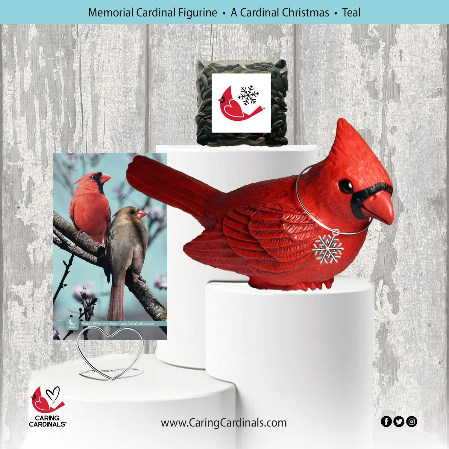 0 TEMPLATE Cardinal-Fig ACC-Teal.jpg