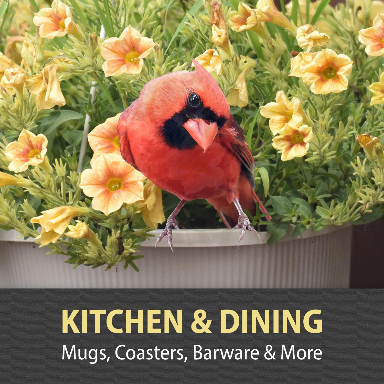 8-KITCHEN & DINING.jpg