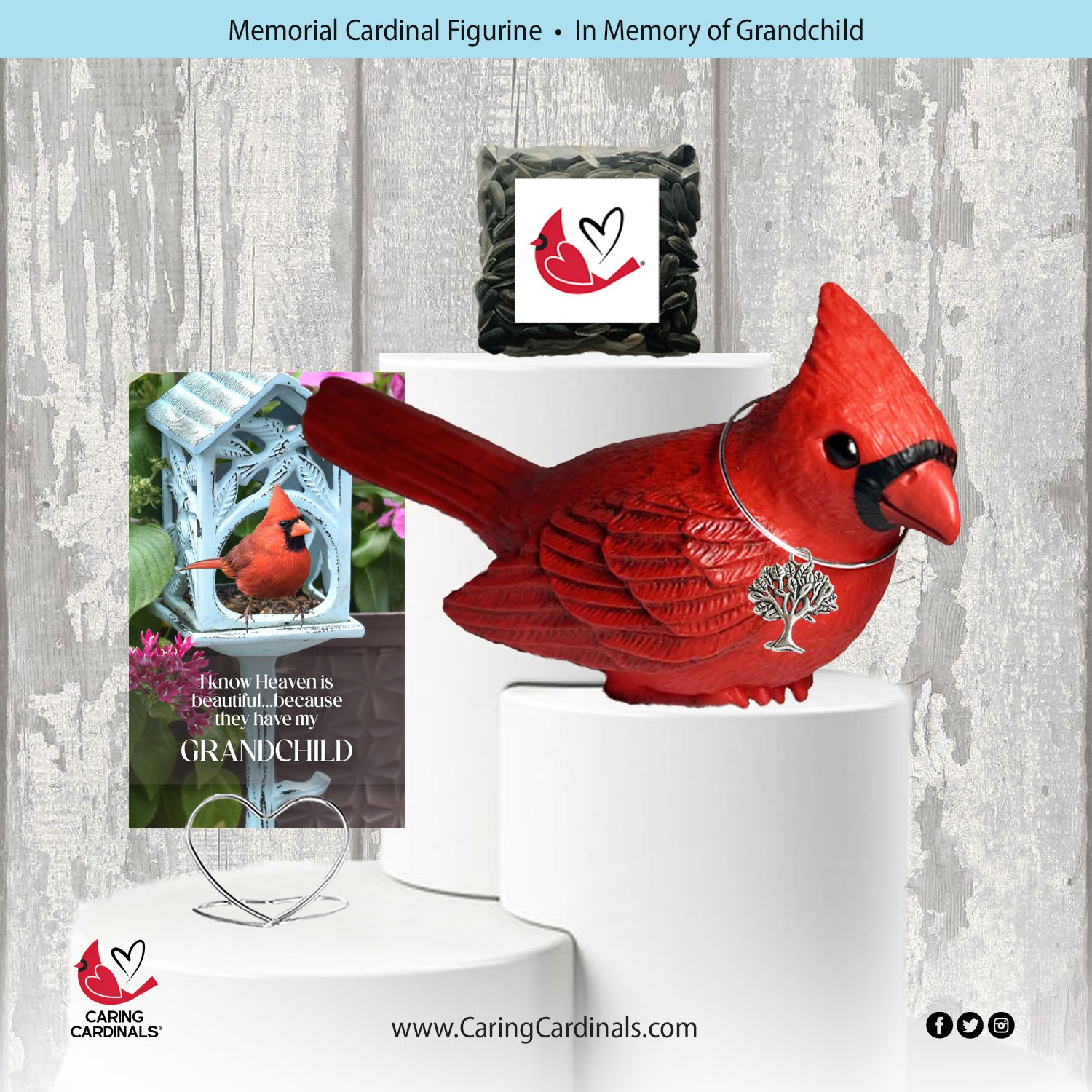 Cardinal-Fig GRANDCHILD.jpg