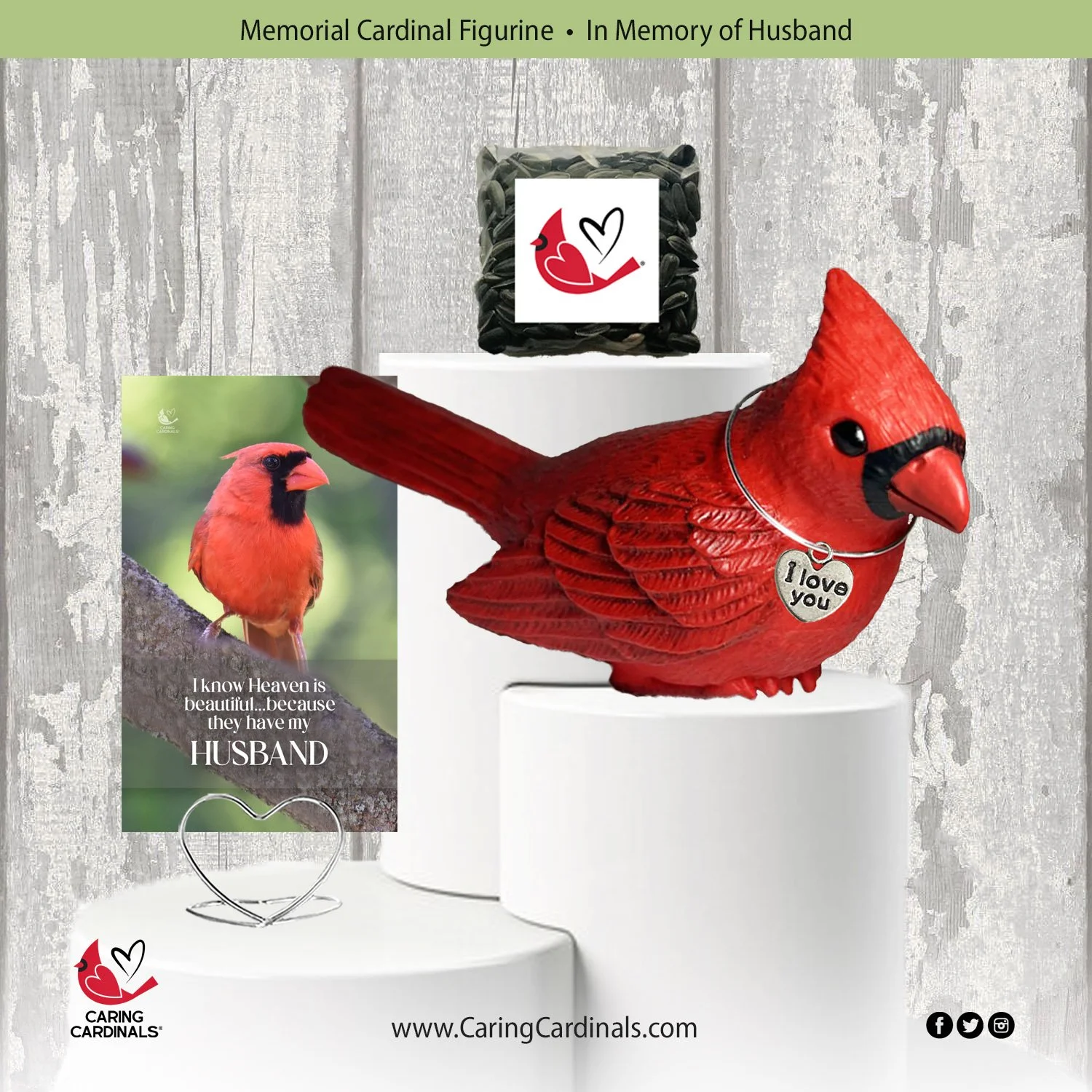 Cardinal-Fig HUSBAND.jpg