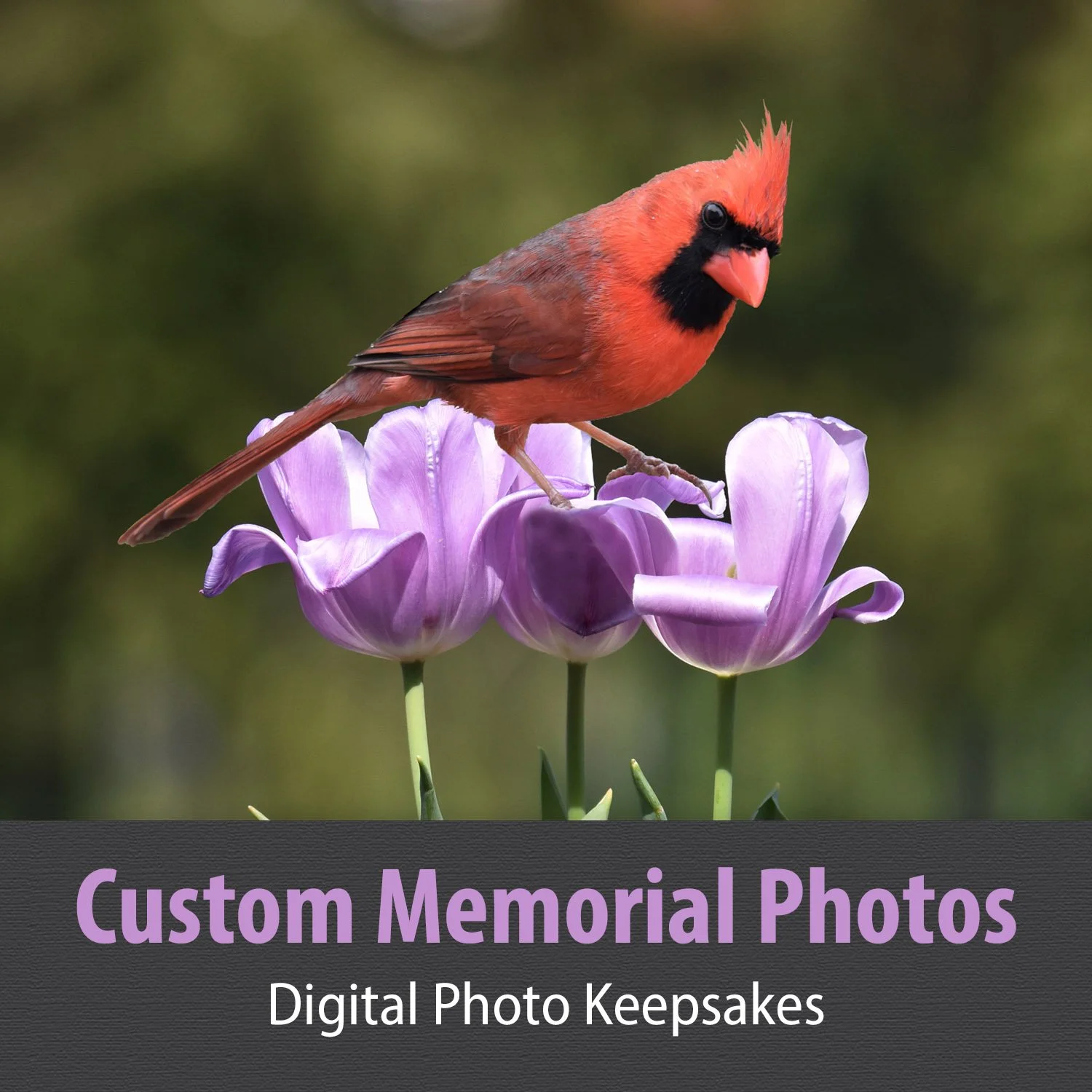 6 Custom Memorial Photos.jpg