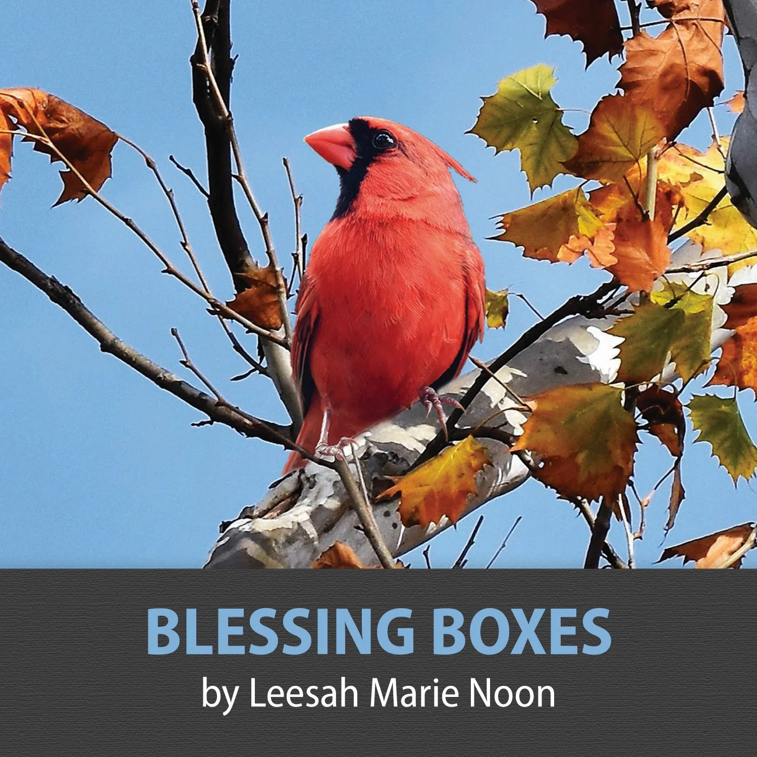 BLESSING BOXES