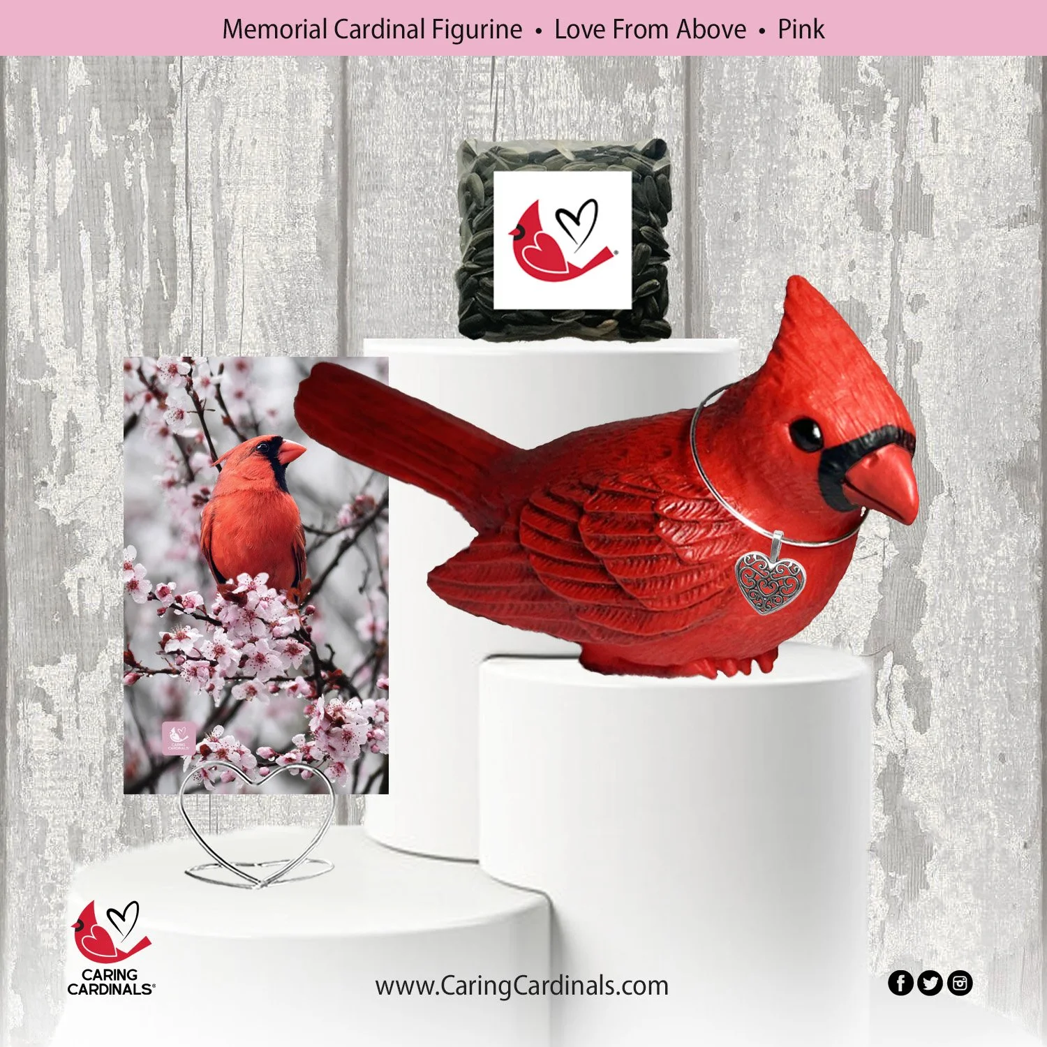 0 TEMPLATE Cardinal-Fig LFA-Pink.jpg