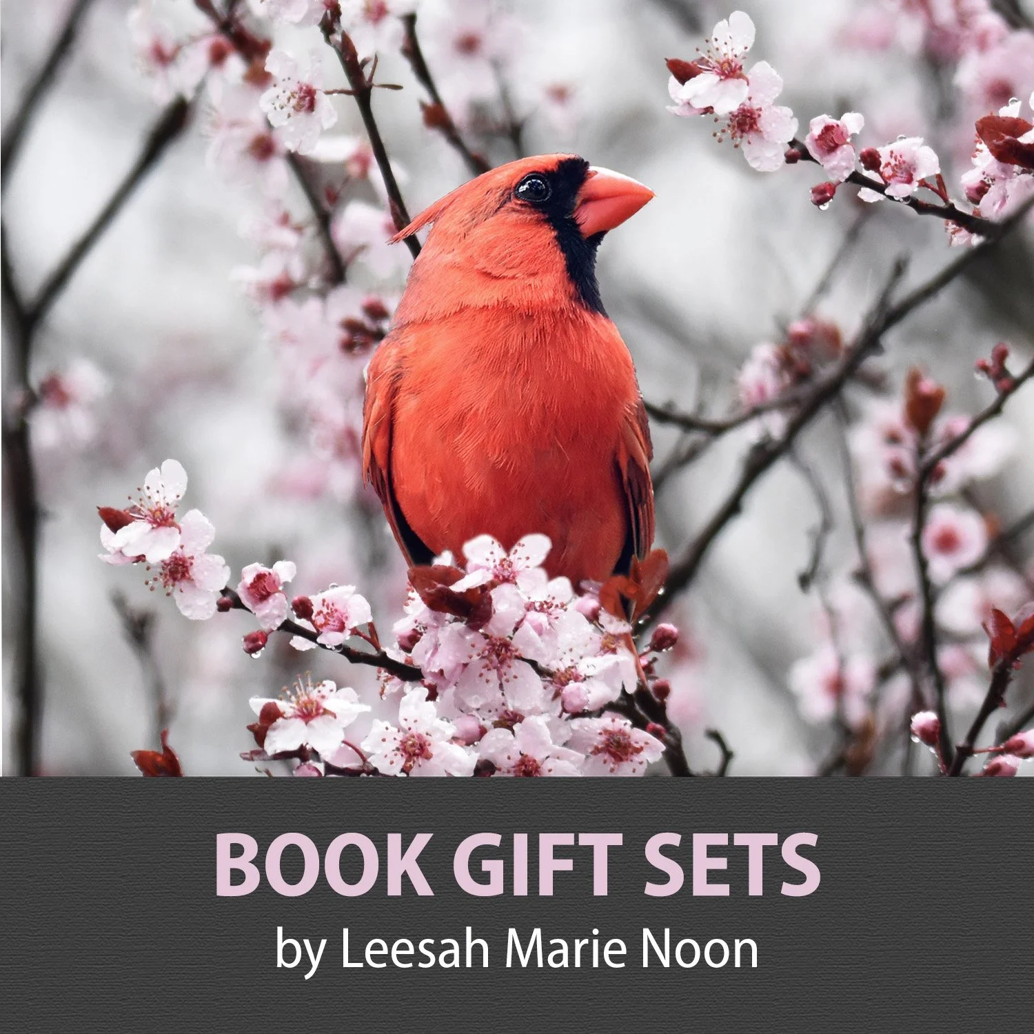 BOOK GIFT SETS