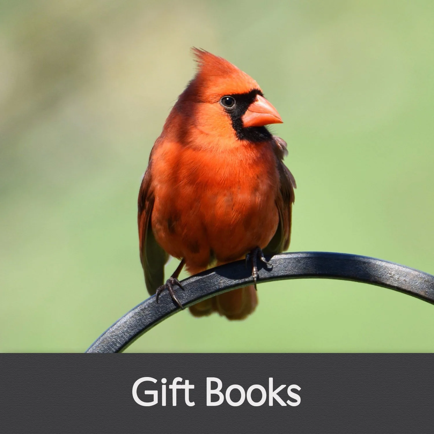 GIFT BOOKS