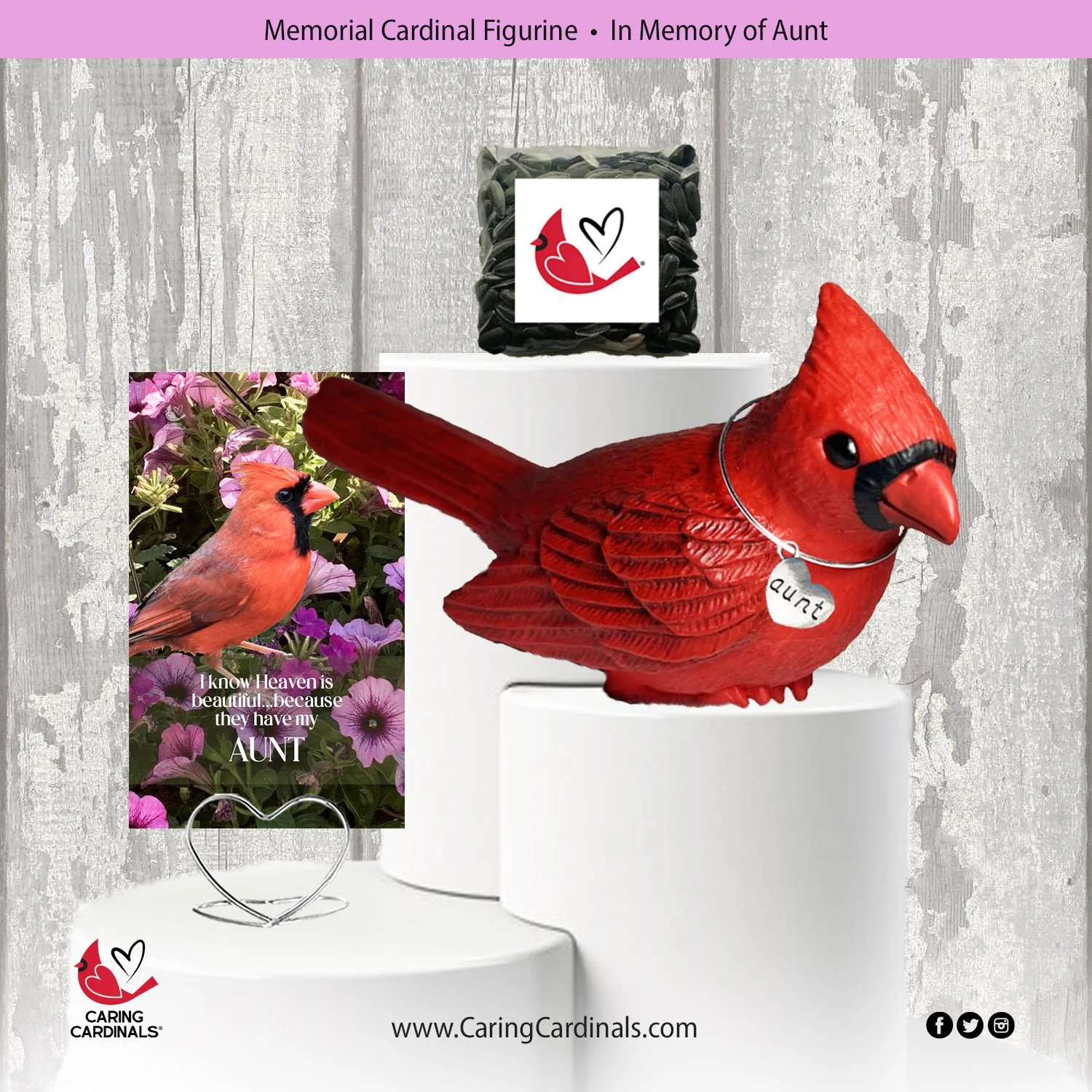 Cardinal-Fig AUNT.jpg