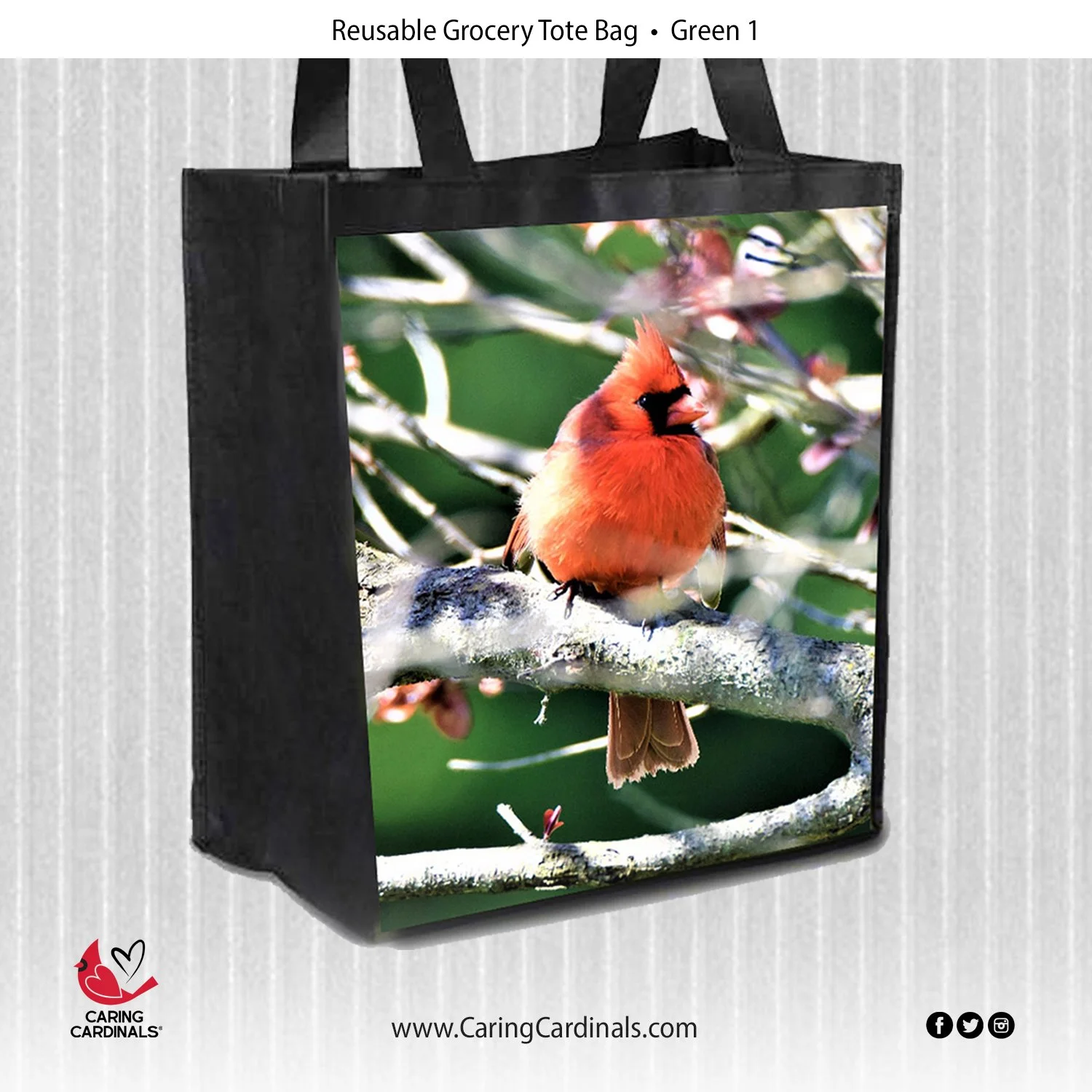 Tote Bag Green-1.jpg