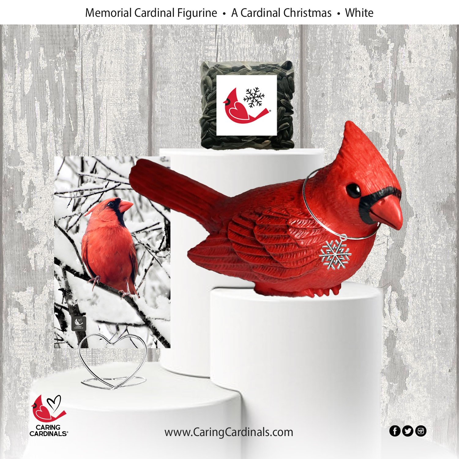 0 TEMPLATE Cardinal-Fig ACC-White.jpg