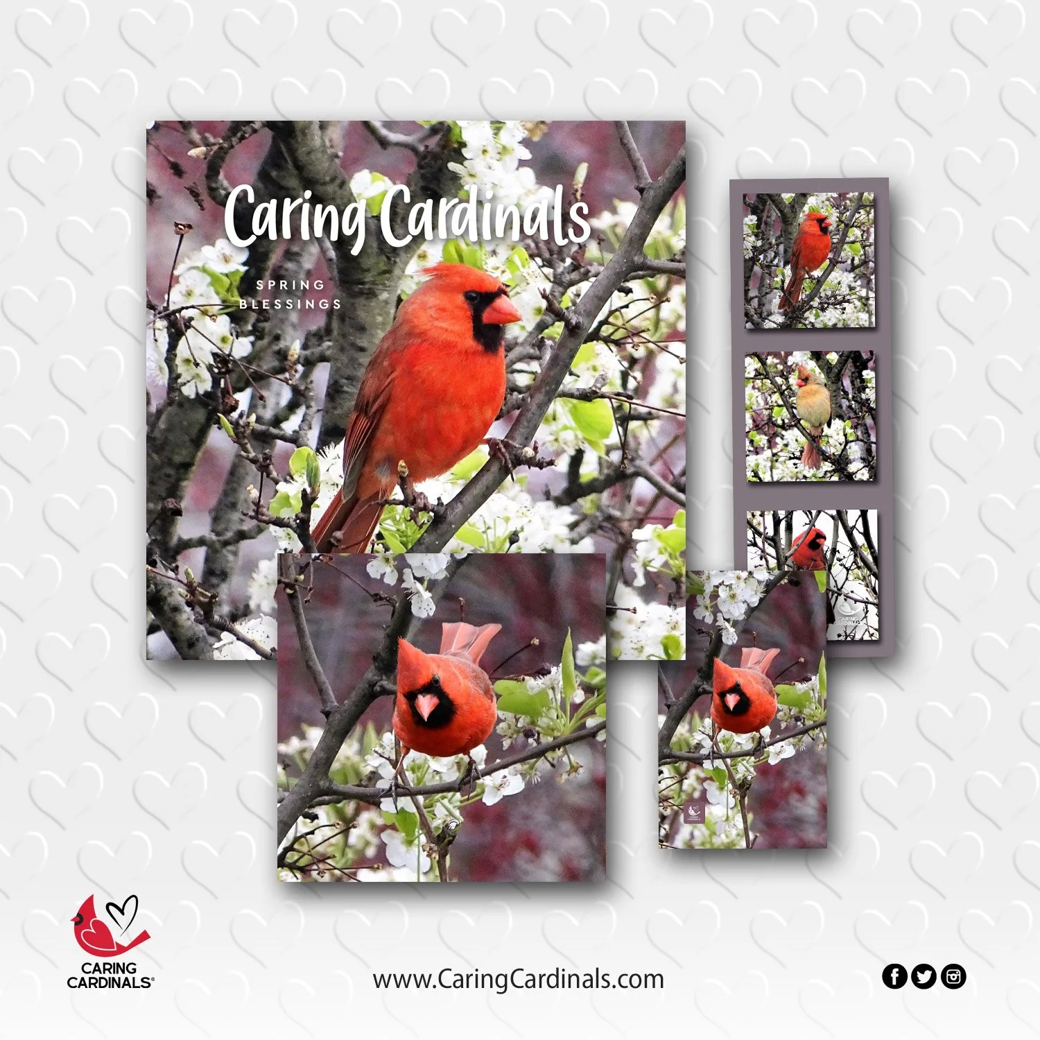 BOOK Spring Blessings 1.jpg