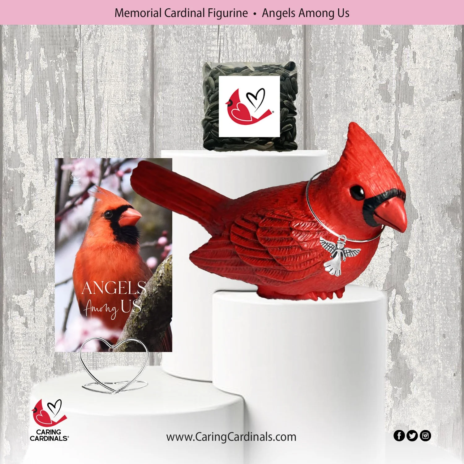 0 TEMPLATE Cardinal-Fig AAU.jpg