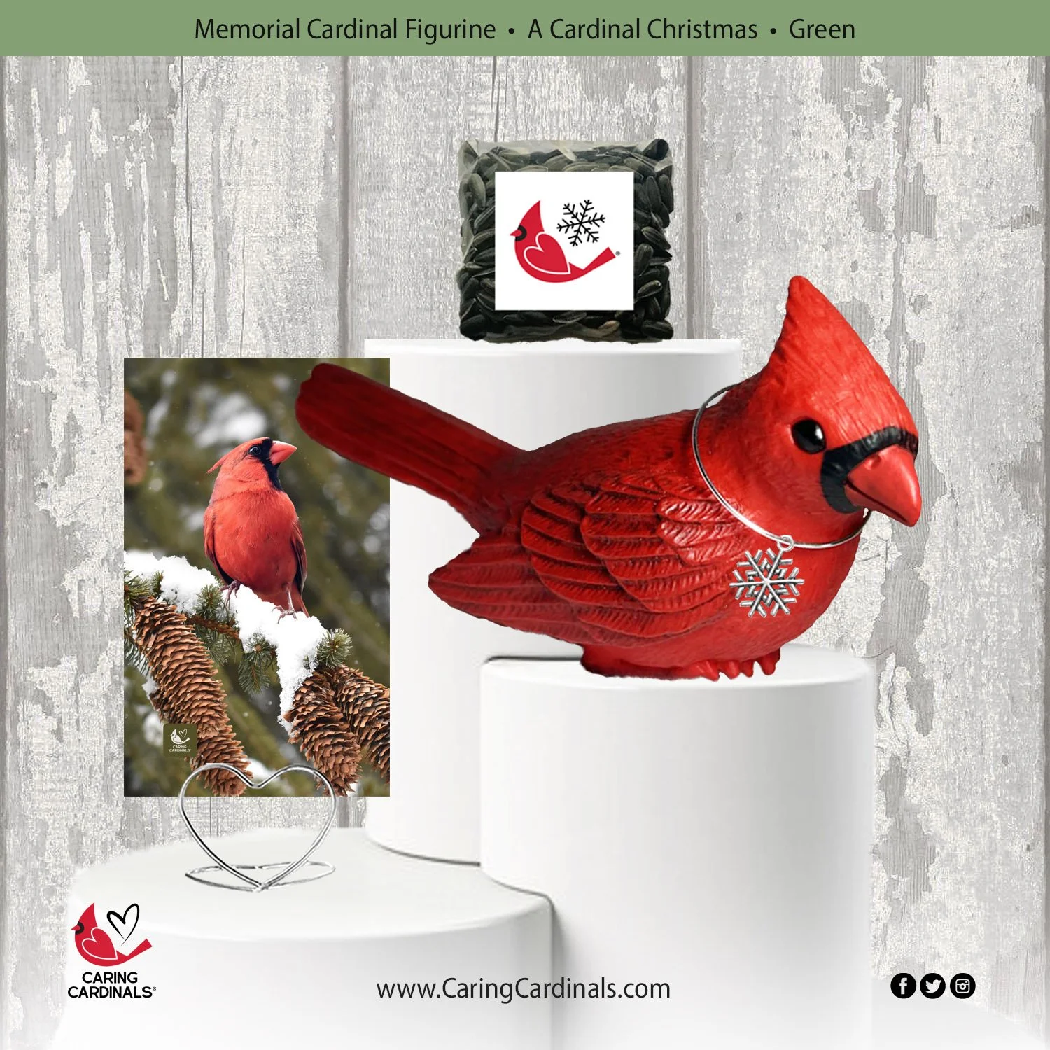0 TEMPLATE Cardinal-Fig ACC-Green.jpg