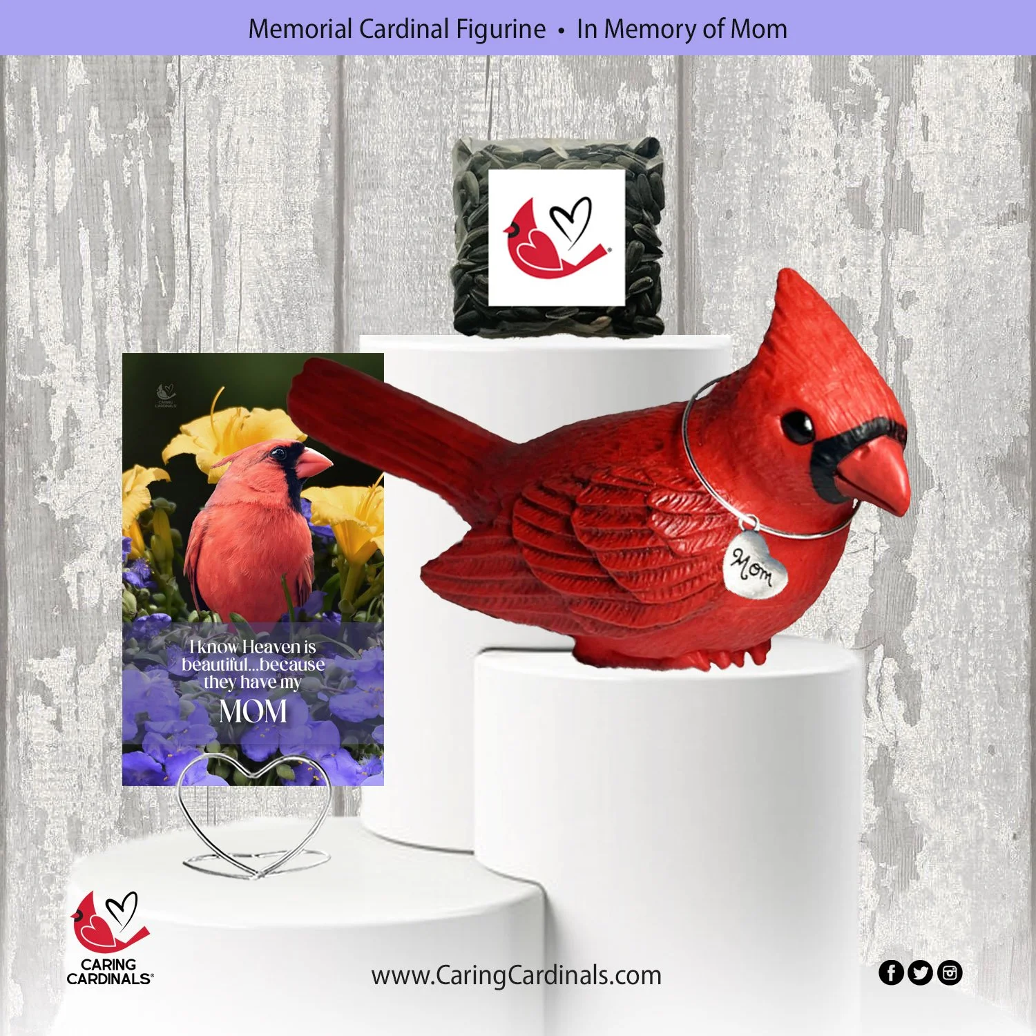 Cardinal-Fig MOM.jpg