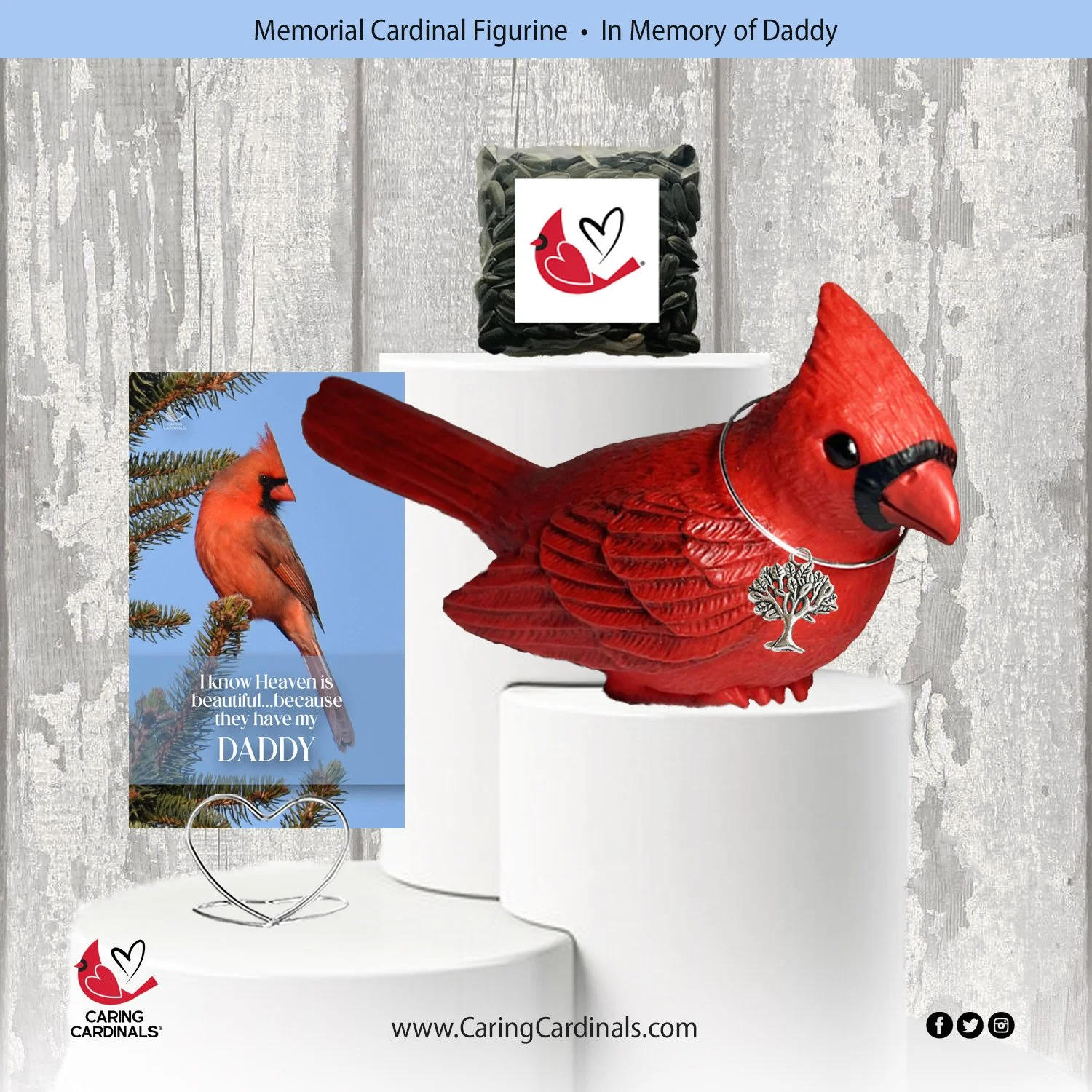Cardinal-Fig DADDY.jpg
