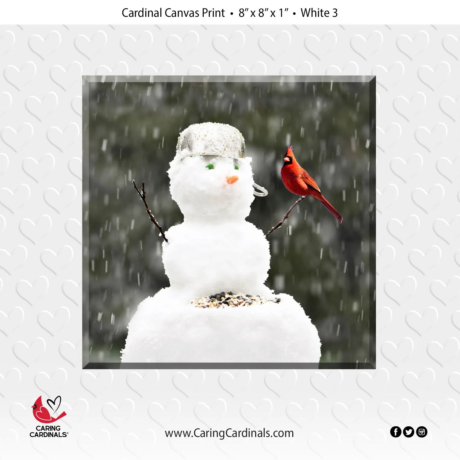 CP White-3.jpg