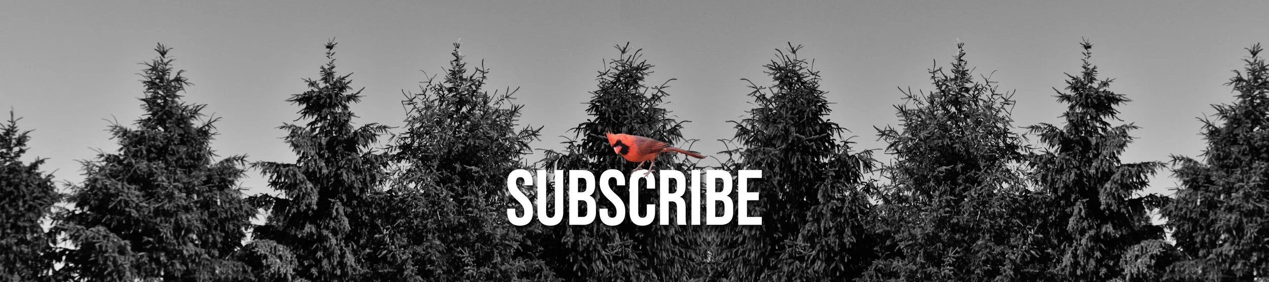 SUBSCRIBE.jpg