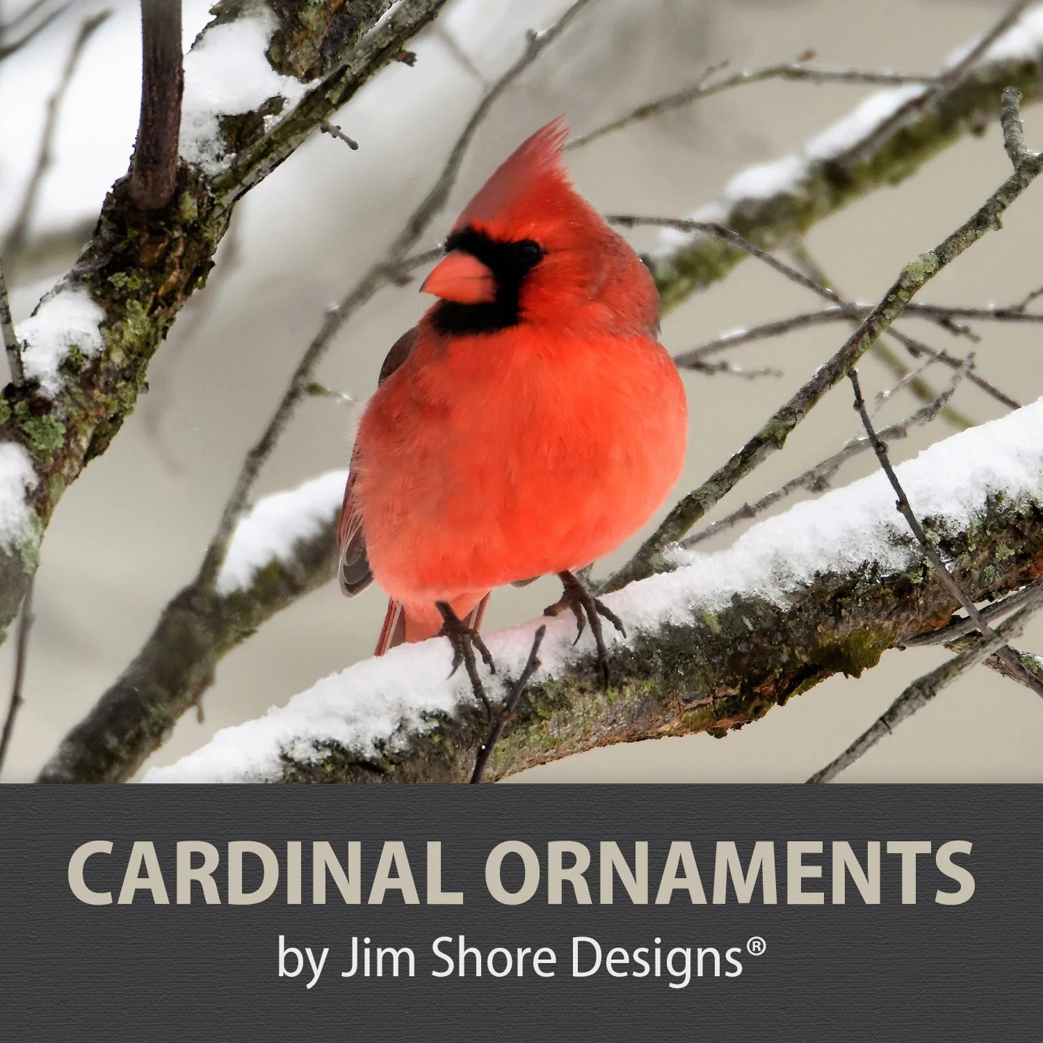 12-ORNAMENTS BY JS.jpg