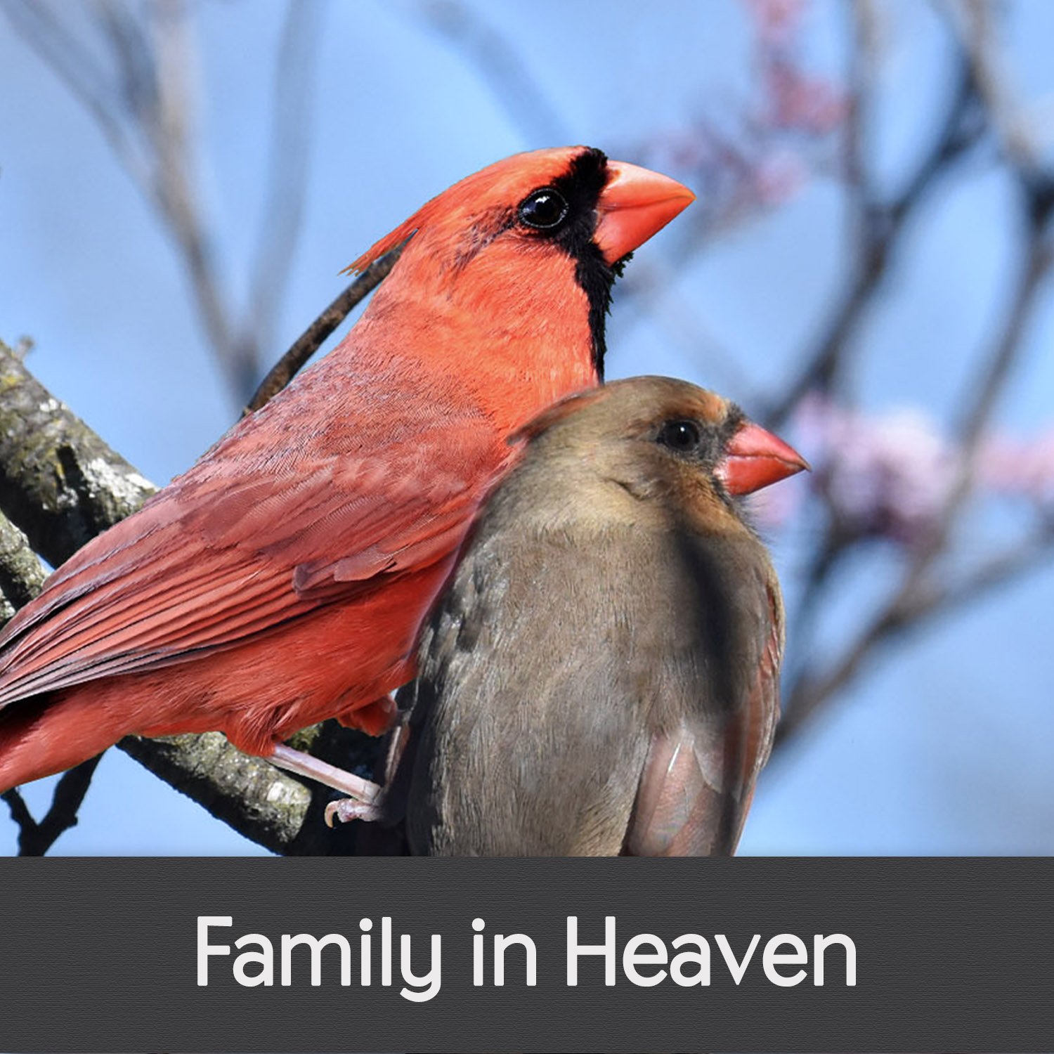 FAMILY IN HEAVEN