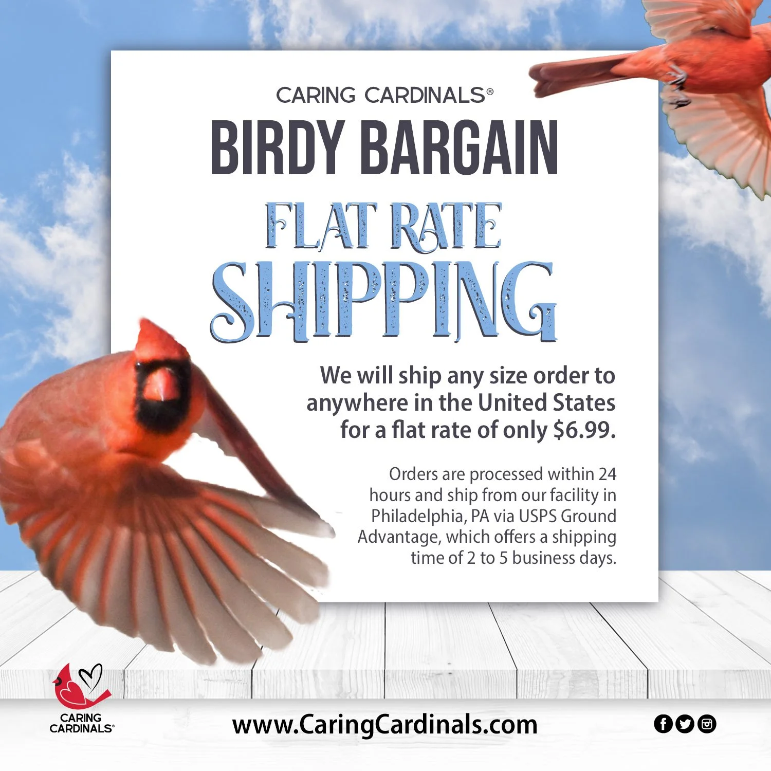 BB Flat-Rate Shipping 1.jpg