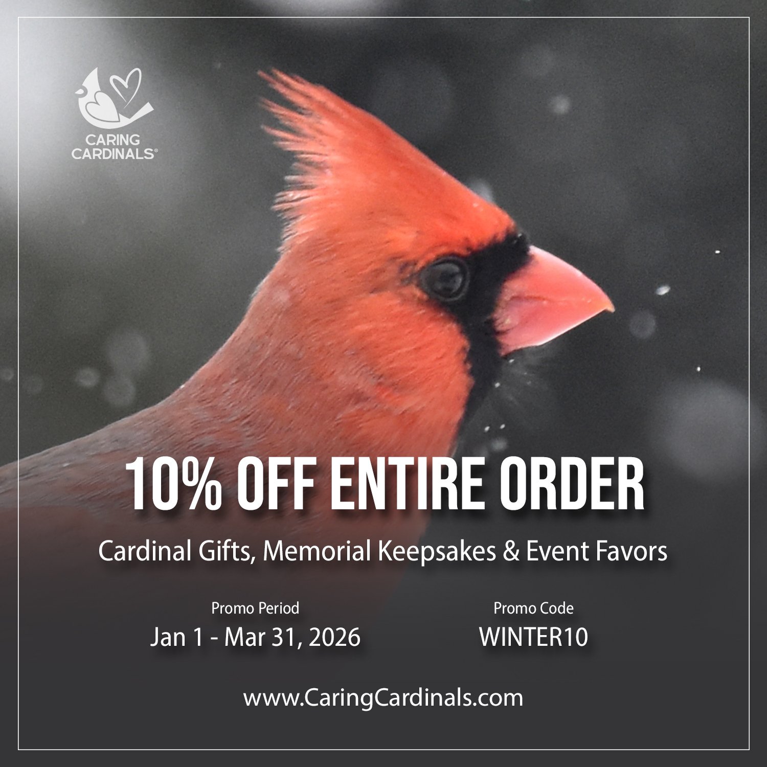 Winter Special 10% Off.jpg