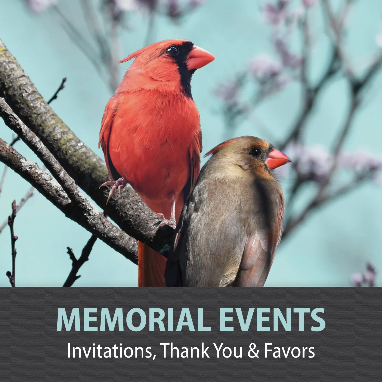 9-MEMORIAL EVENTS.jpg