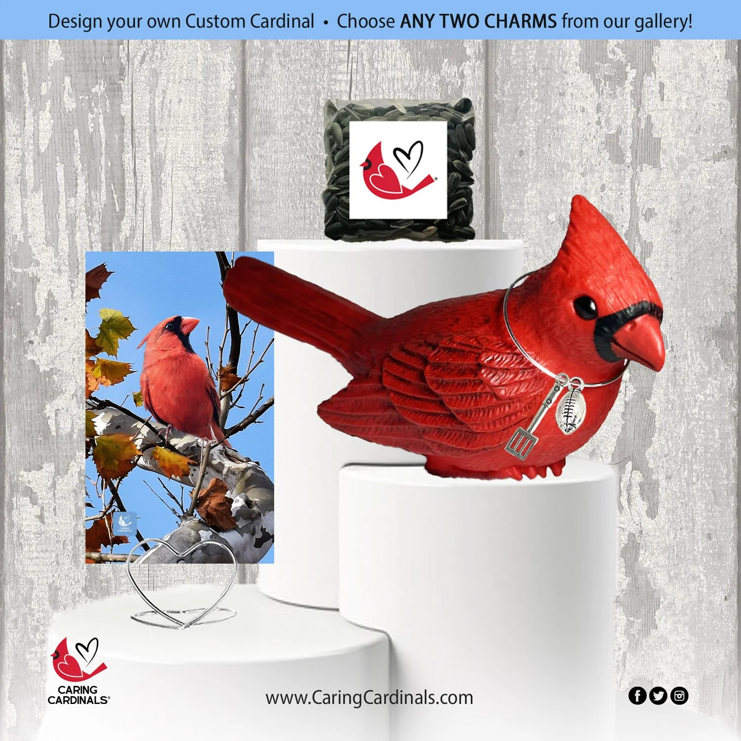 0 Cardinal-Fig CUSTOM-2.jpg