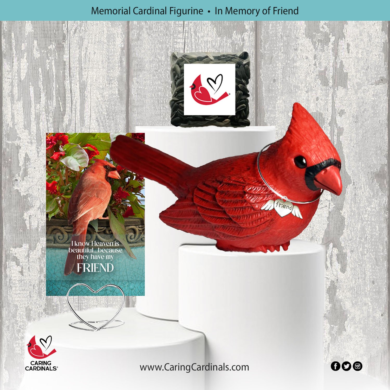 Cardinal-Fig FRIEND.jpg