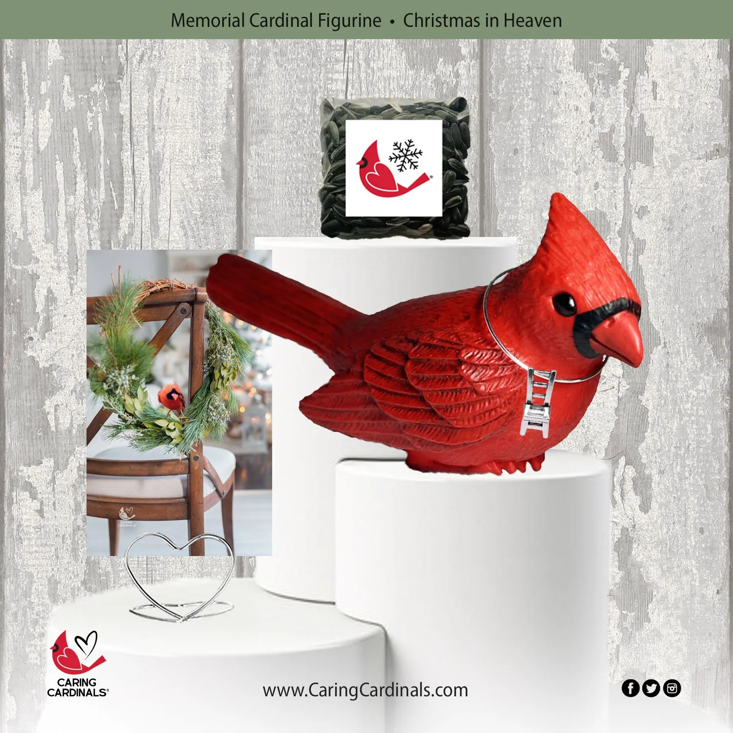 0 TEMPLATE Cardinal-Fig CIH-Chair.jpg