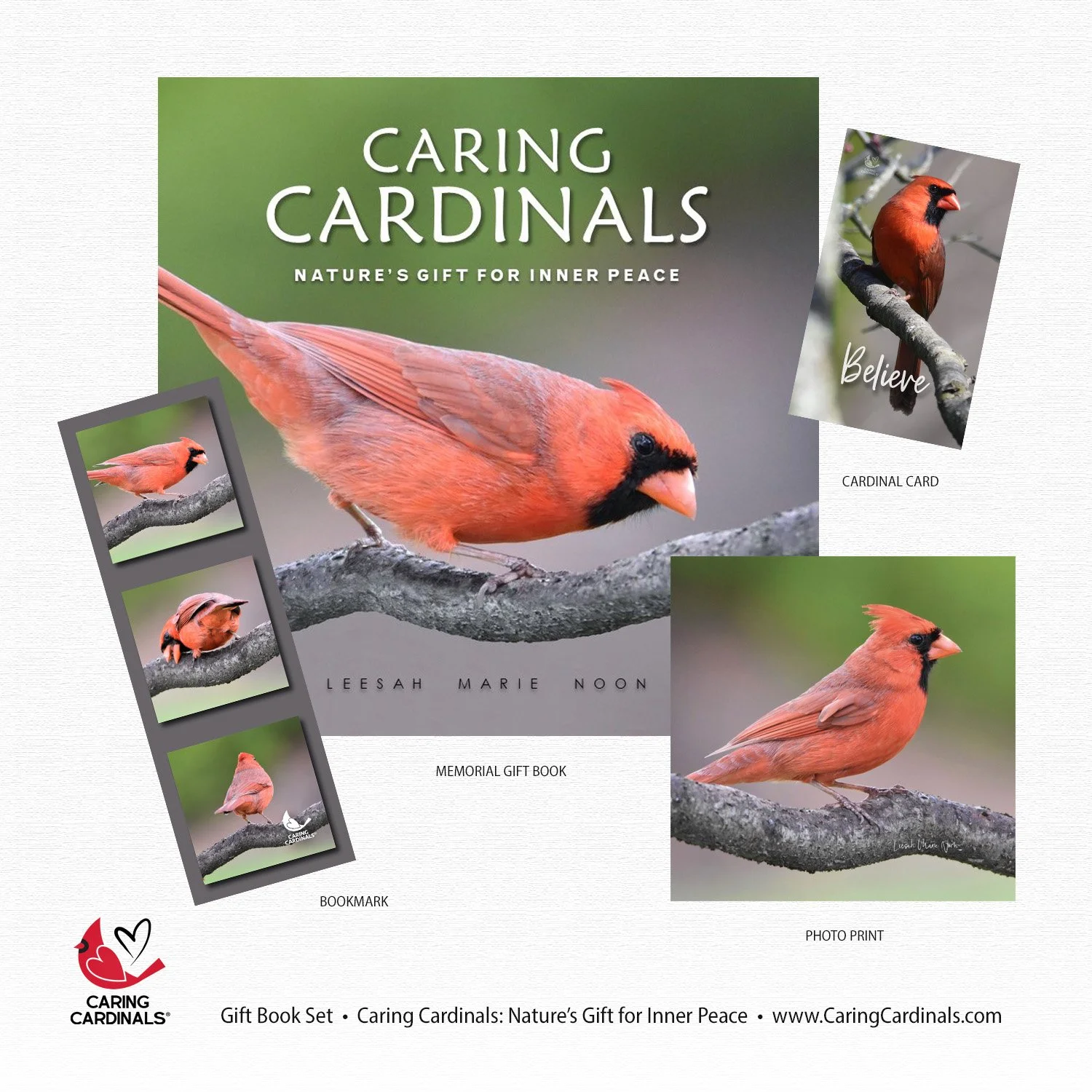 MEMORIAL Book Set NGFIP.jpg