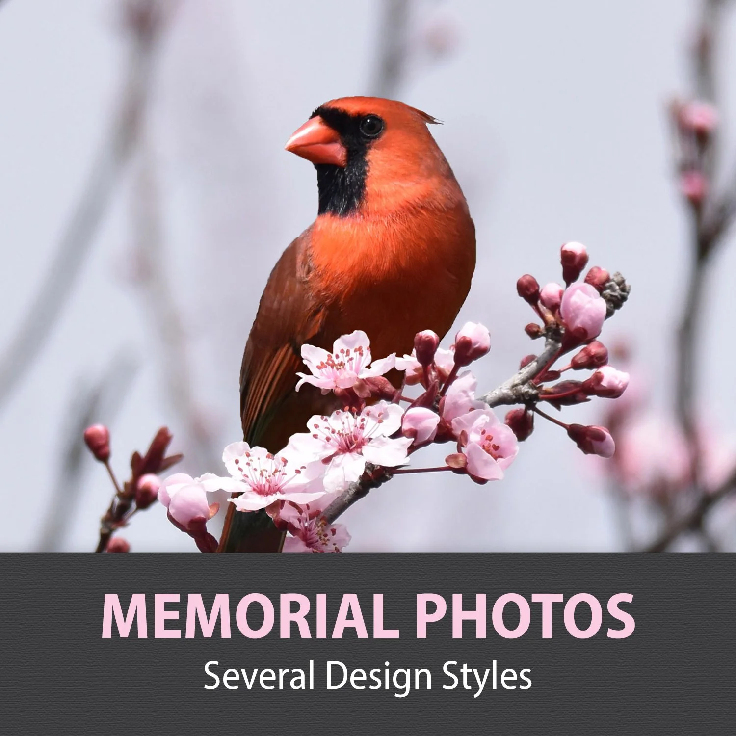 10-MEMORIAL PHOTOS.jpg