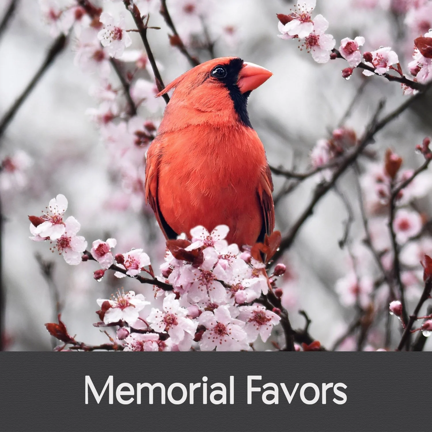MEMORIAL FAVORS