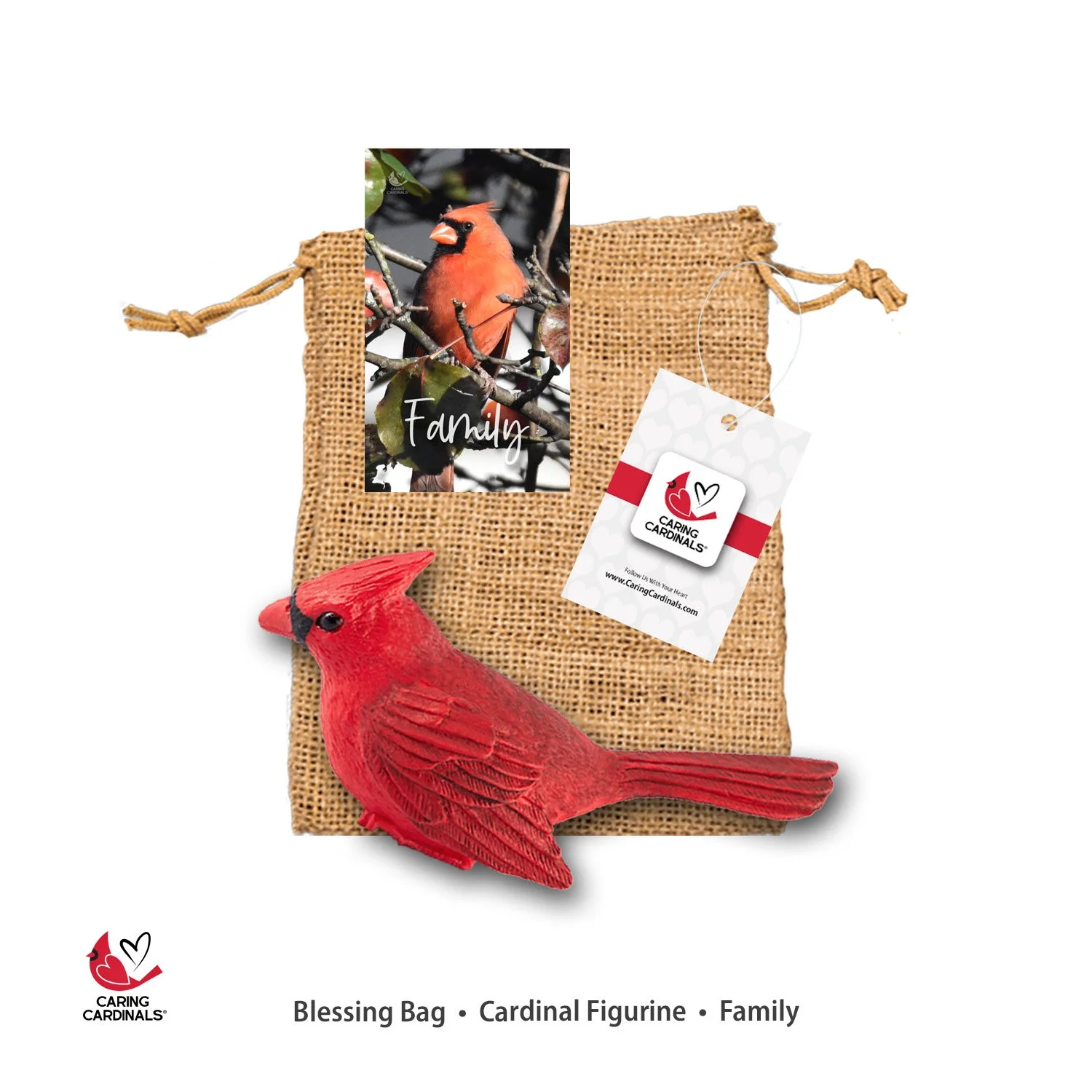 FAMILY Blessing-Bag.jpg