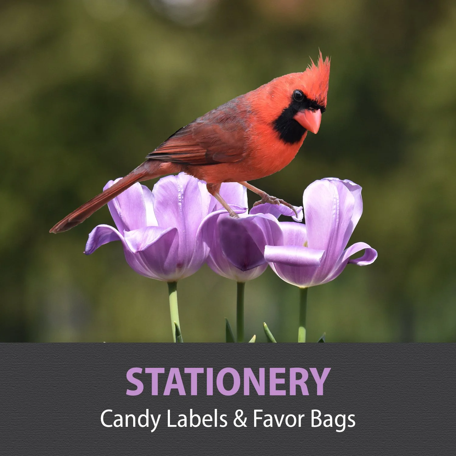 13-STATIONERY.jpg