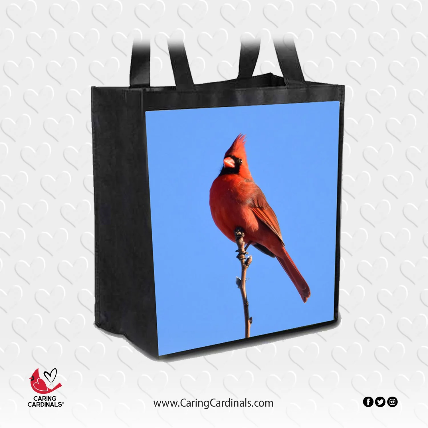 Tote Bag Blue-1.jpg