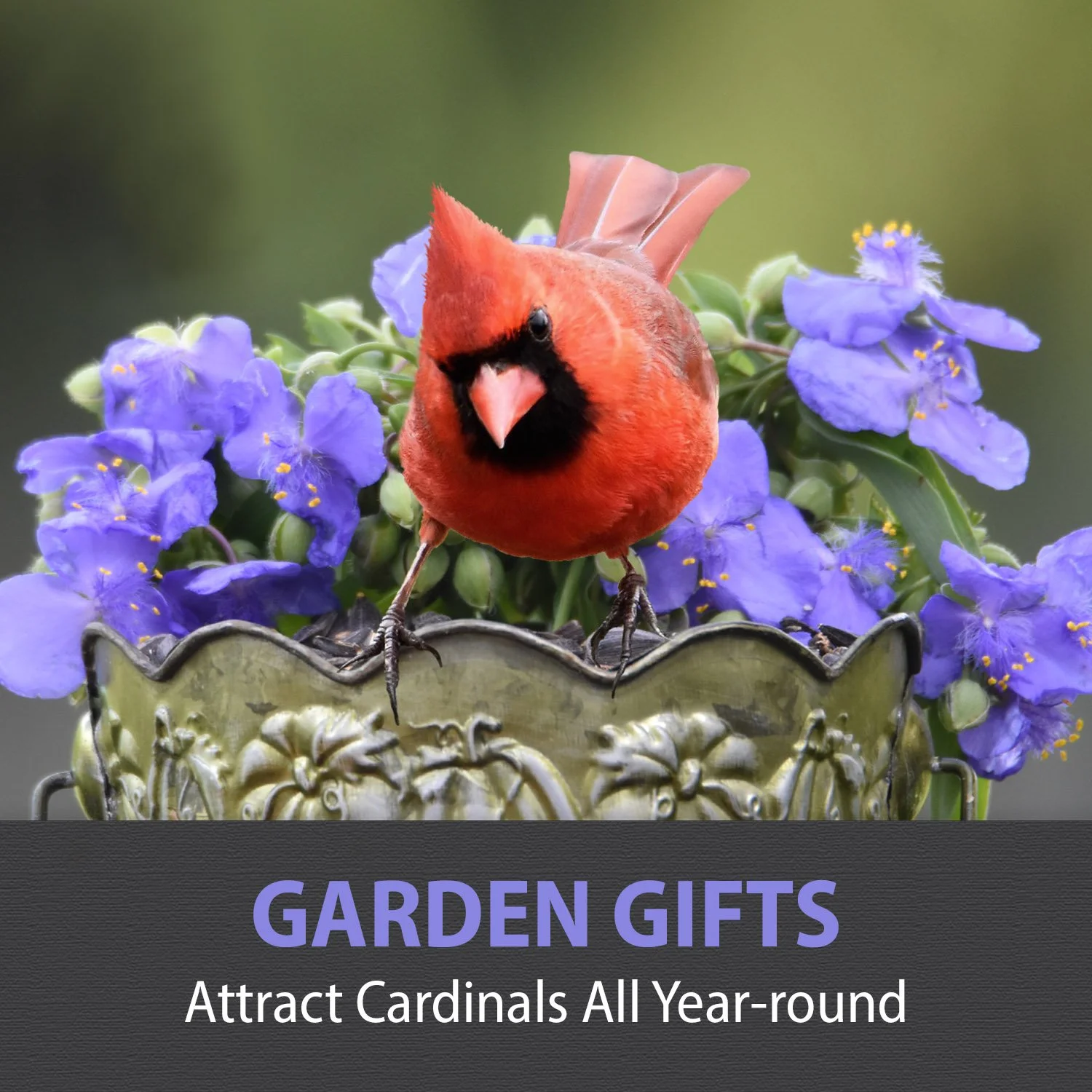 6-GARDEN GIFTS.jpg