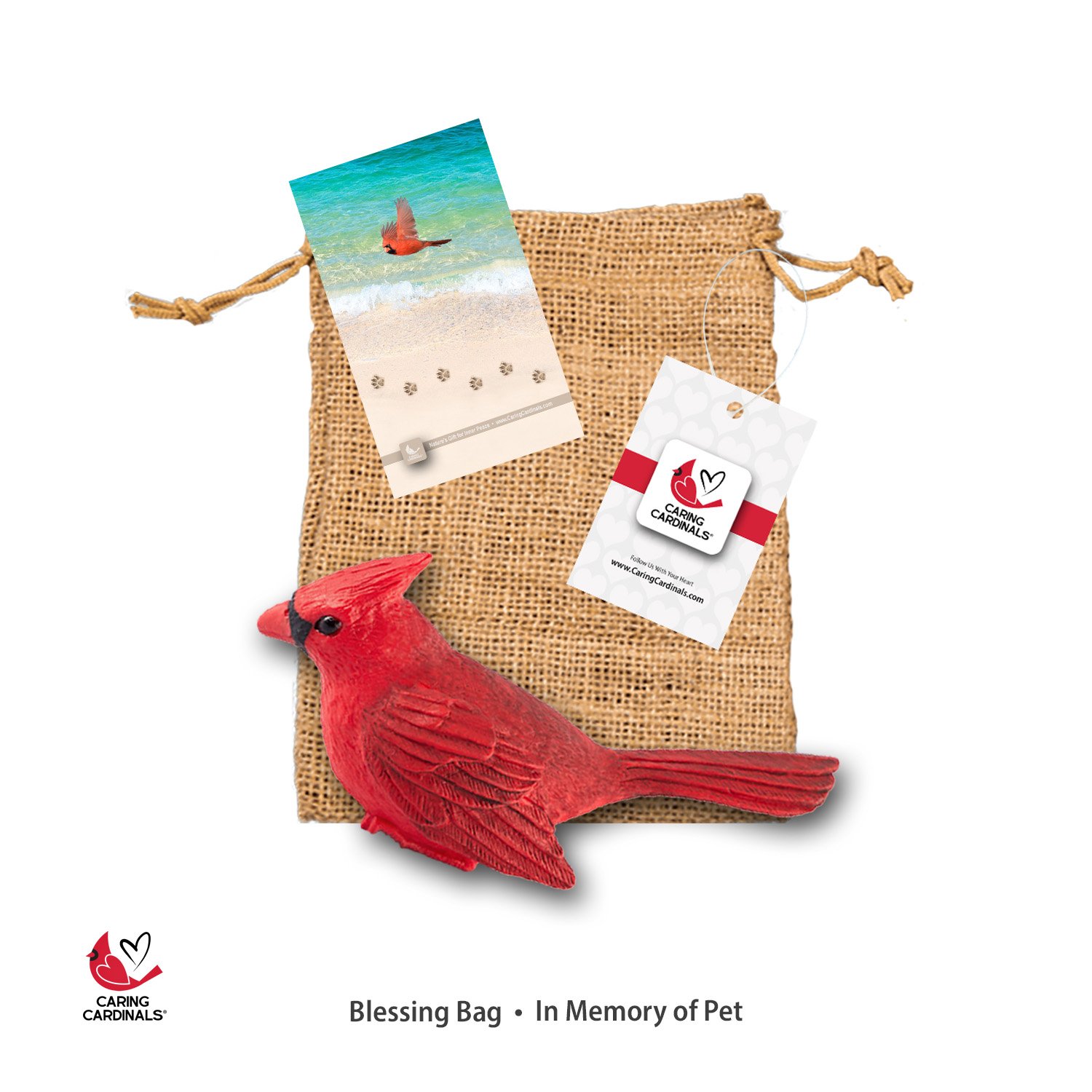 BLESSING BAG Pets 1.jpg