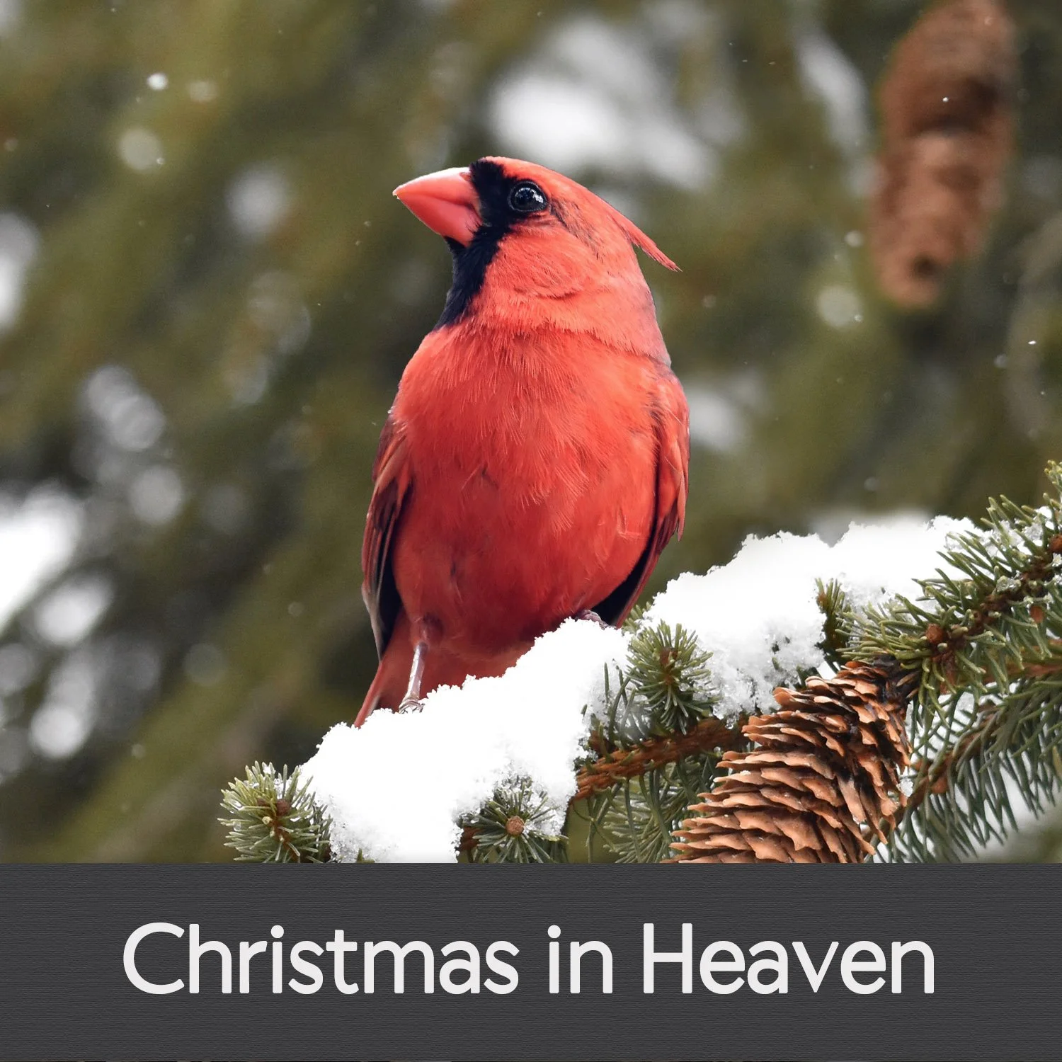 CHRISTMAS IN HEAVEN