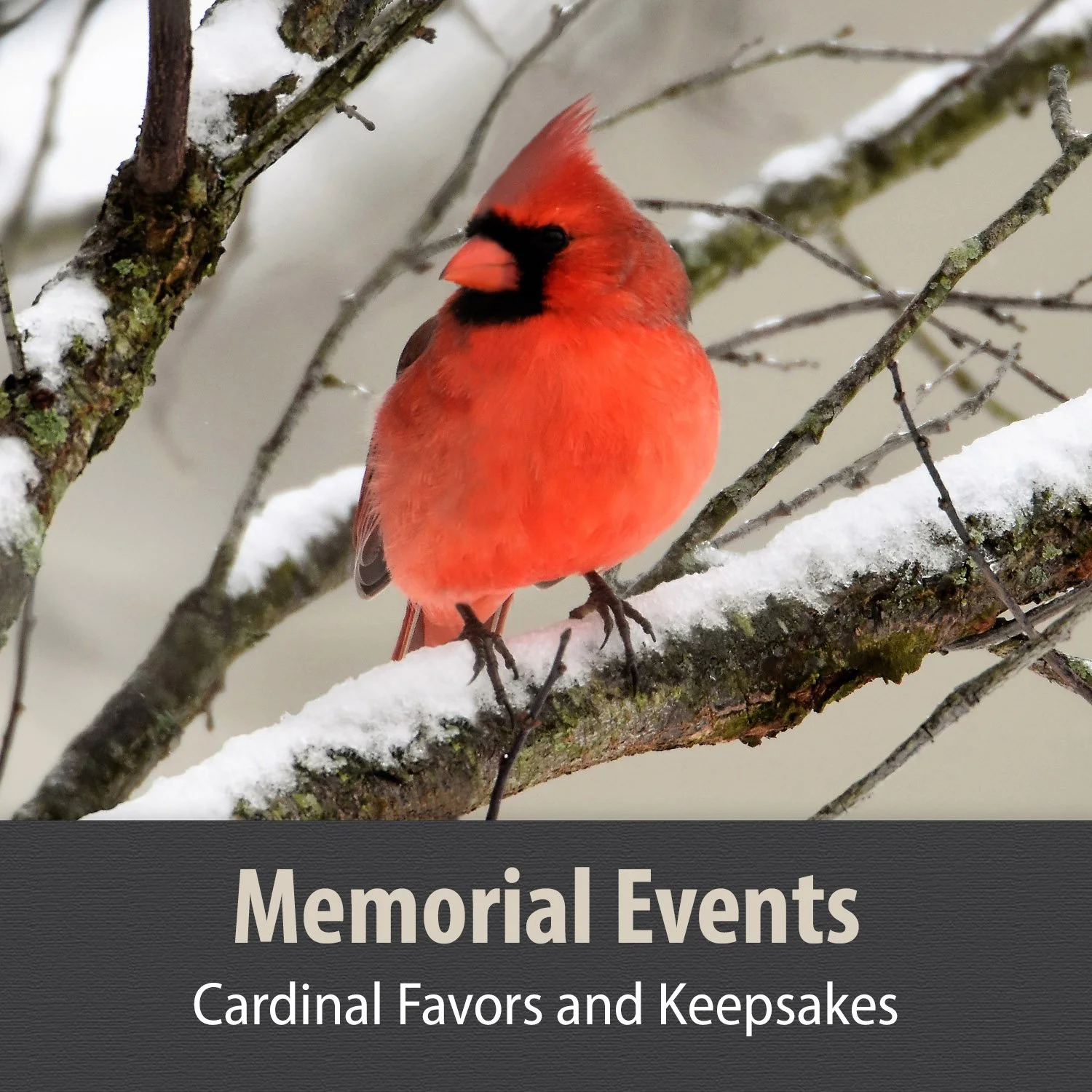 8 Memorial Events 1.jpg