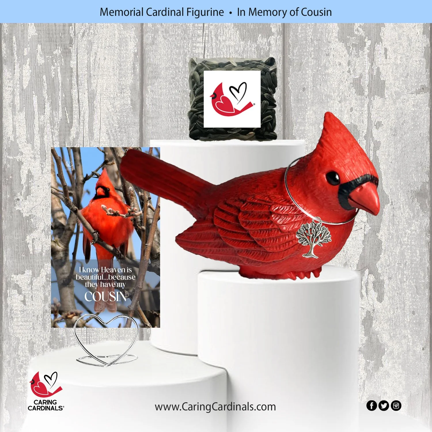 Cardinal-Fig COUSIN.jpg