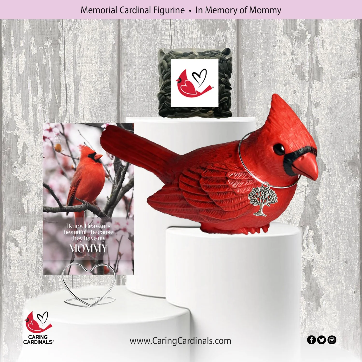 Cardinal-Fig MOMMY.jpg