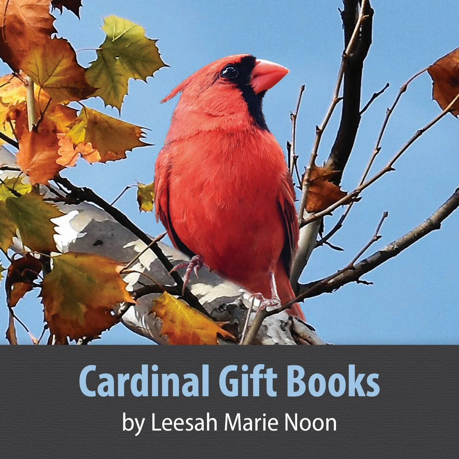 GIFT BOOKS