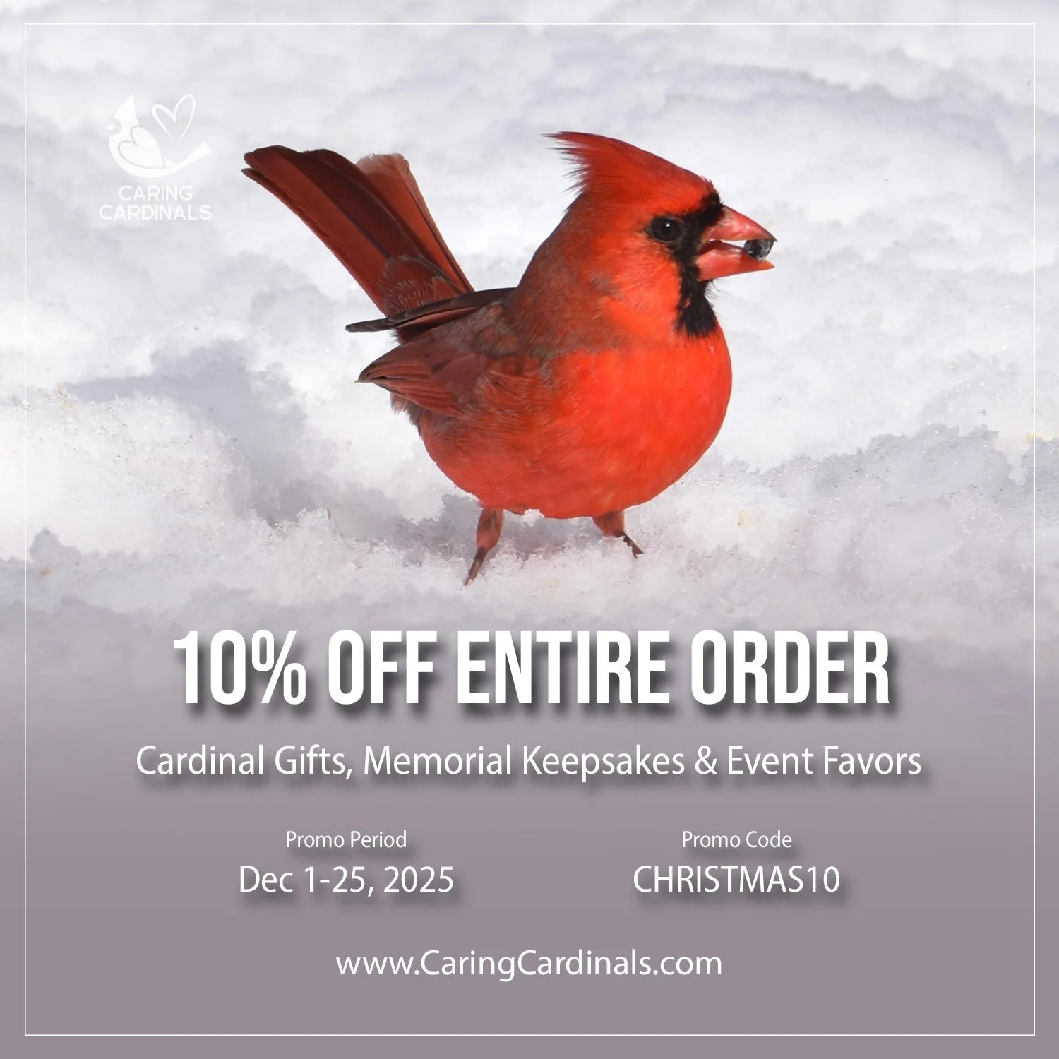 X 10% Off Entire Order XMAS.jpg