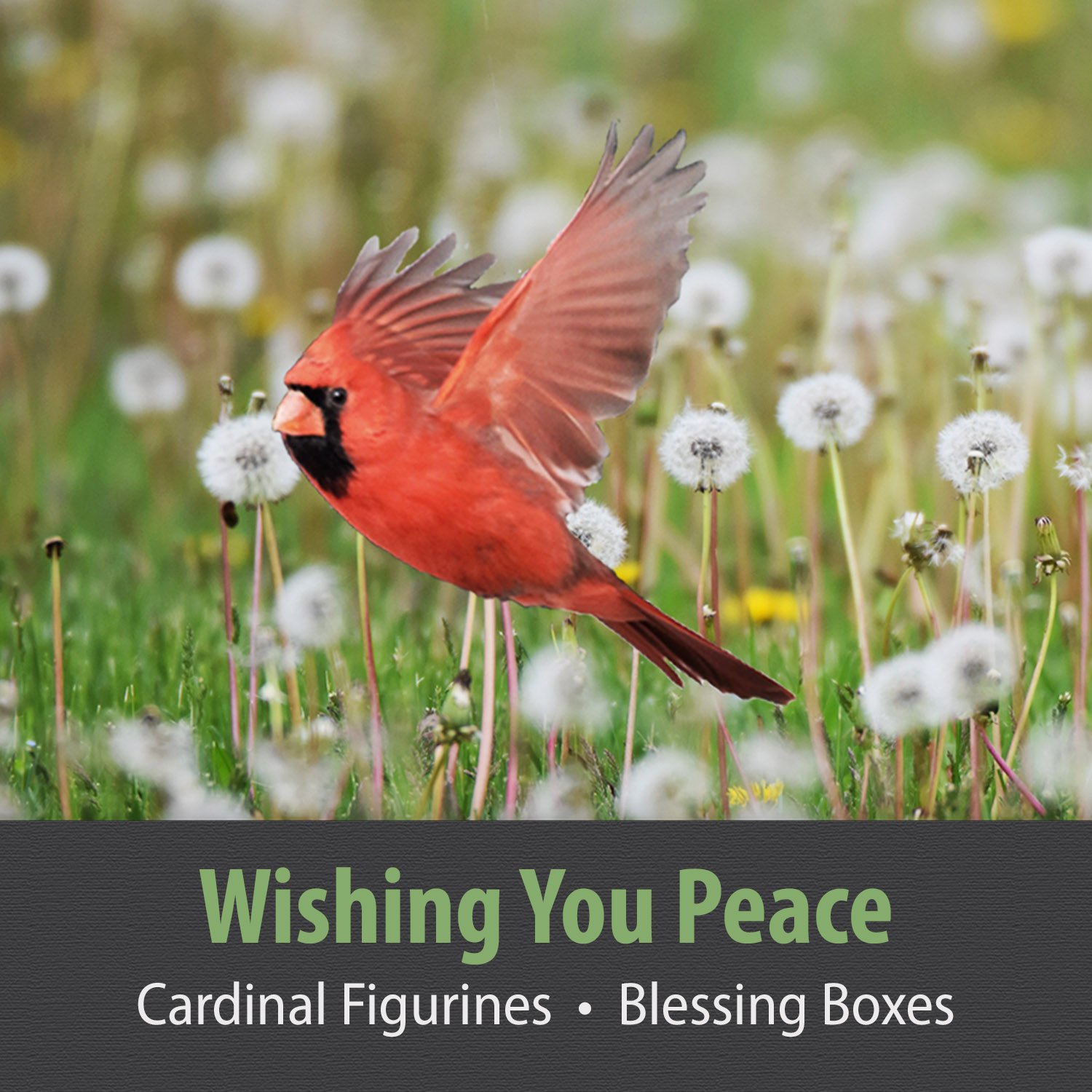 WISHING YOU PEACE