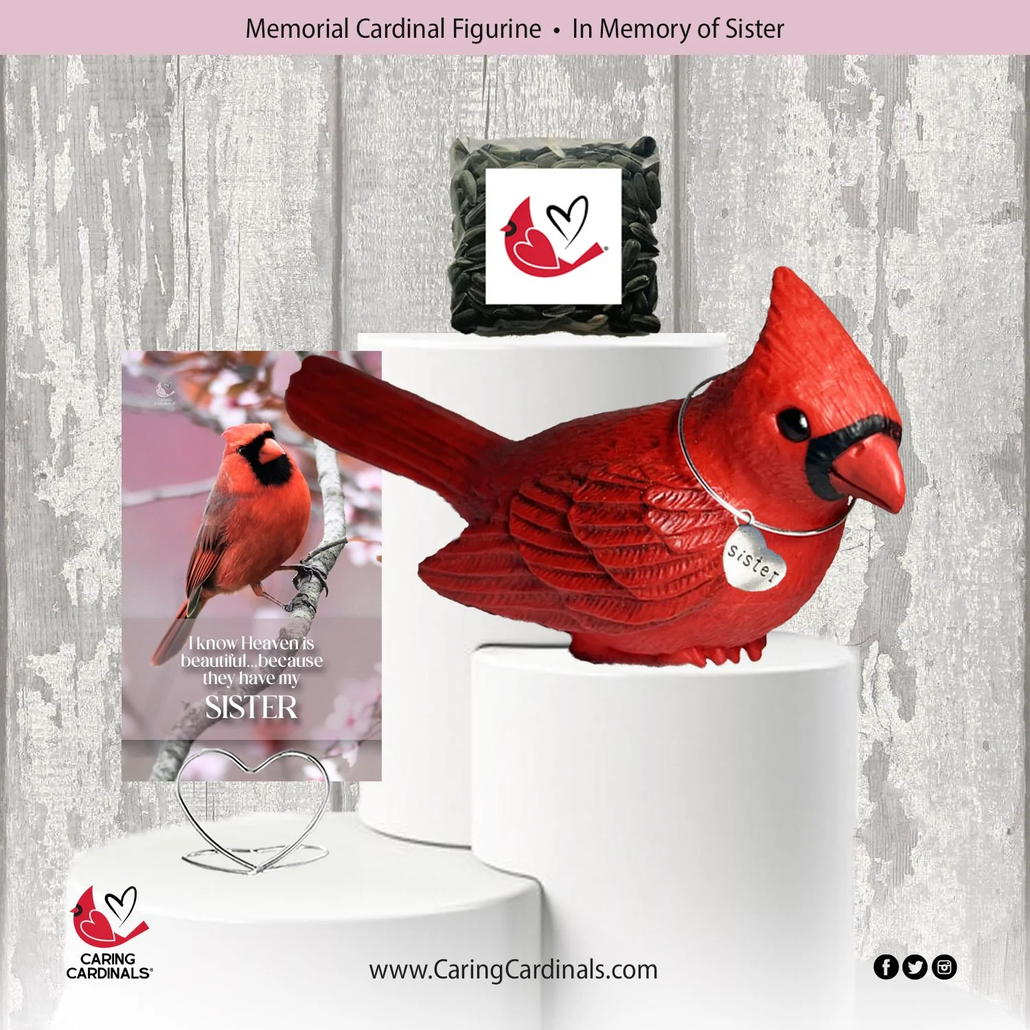 Cardinal-Fig SISTER.jpg