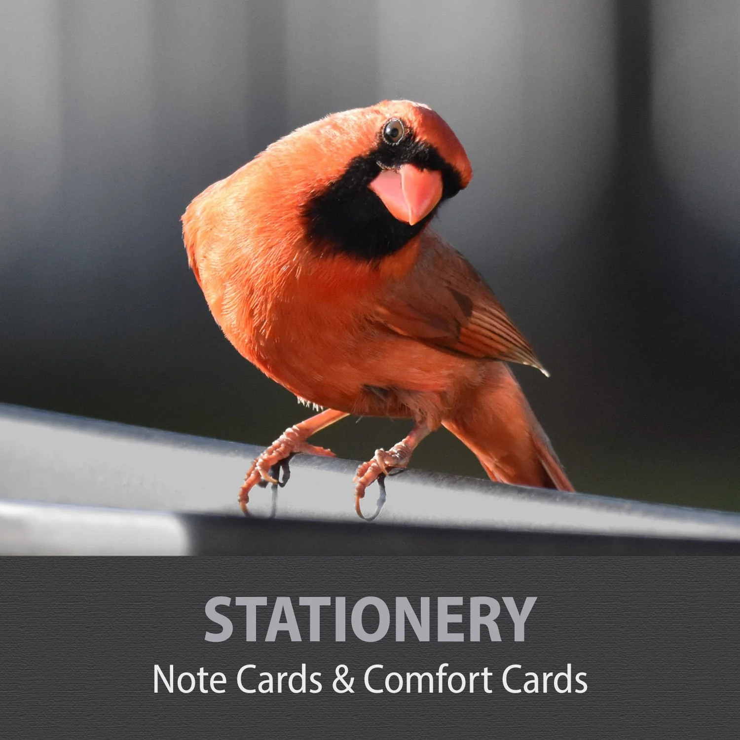 15-STATIONERY .jpg